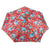 totes Auto Open/Close NeverWet® Compact Umbrella Library Floral top view